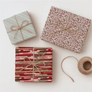 Wrapped presents in wrapping paper with muted reds, greens and neutrals and a twine bow on a white background – modern botanical paper goods from the Blush Reverie miniCollection by Eldy Pattern Design.